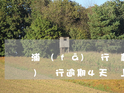 浦發(fā)銀行貸款還款逾期(浦發(fā)銀行逾期4天,馬上還款是否影響征信)