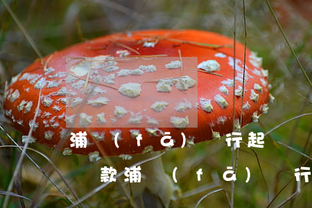 浦發(fā)銀行起訴階段協(xié)商還款（浦發(fā)銀行信用卡逾期欠款協(xié)商）