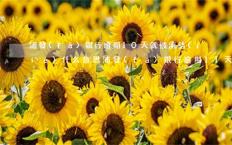 浦發(fā)銀行逾期10天就被凍結(jié)什么意思?（浦發(fā)銀行逾期11天會被起訴）