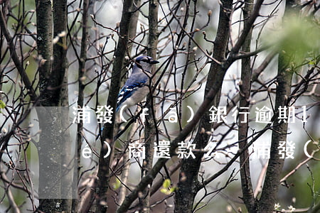 浦發(fā)銀行逾期13天可以協(xié)商還款么-浦發(fā)銀行逾期13天可以協(xié)商還款么嗎