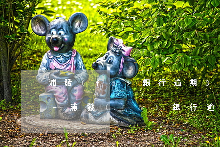 浦發(fā)銀行逾期3天后還款什么影響-浦發(fā)銀行逾期3天后還款什么影響征信