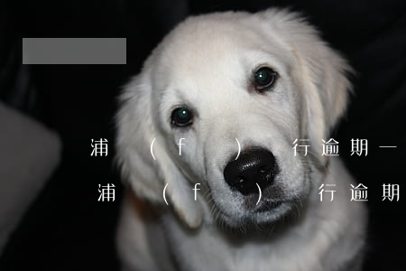 浦發(fā)銀行逾期一天違約金怎么算-浦發(fā)銀行逾期一天違約金怎么算出來(lái)的