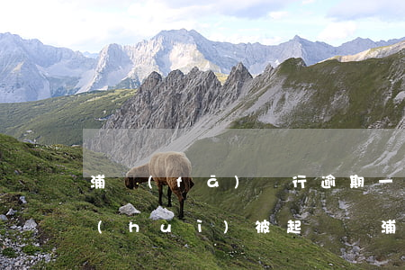 浦發(fā)銀行逾期一年,金額5000會(huì)被起訴嗎?（浦發(fā)銀行信用卡逾期起訴金額是多少）