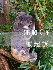 浦發(fā)銀行逾期一年,金額5000會被起訴嗎?（浦發(fā)銀行逾期1萬起訴）