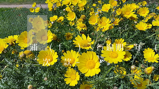 浦發(fā)銀行逾期三年協(xié)商二次還款-