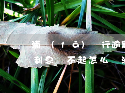 浦發(fā)銀行逾期了8萬(wàn)多利息還不起怎么辦（浦發(fā)銀行信用卡逾期9萬(wàn)）