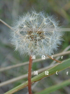 浦發(fā)銀行逾期了多久會起訴中國-浦發(fā)銀行逾期3個月要起訴我怎么辦