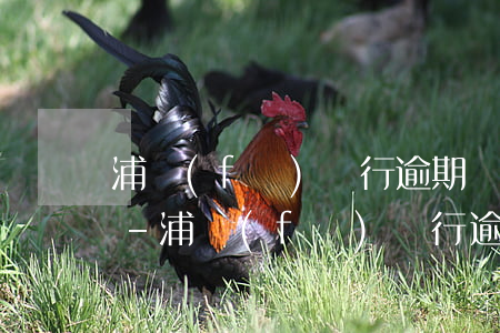 浦發(fā)銀行逾期兩千塊錢要起訴法院-浦發(fā)銀行逾期兩千塊錢要起訴法院嗎