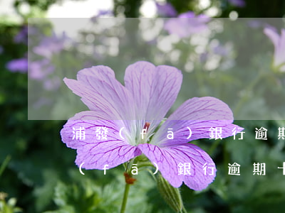 浦發(fā)銀行逾期十天左右要起訴（浦發(fā)銀行逾期十天左右要起訴）