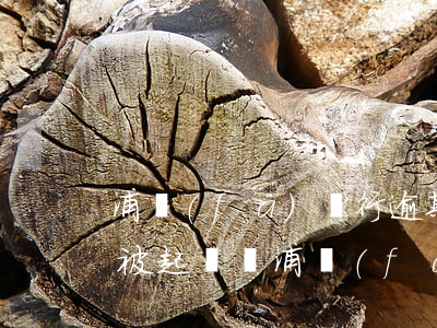 浦發(fā)銀行逾期十幾天會(huì)被起訴嗎(浦發(fā)銀行幾個(gè)月會(huì)起訴)