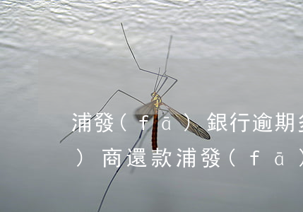浦發(fā)銀行逾期多久才能協(xié)商還款(浦發(fā)銀行協(xié)商后逾期,銀行要我一次性還款)