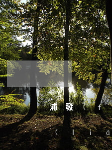 浦發(fā)銀行逾期多久會(huì)聯(lián)系村委會(huì)-浦發(fā)銀行逾期多久會(huì)聯(lián)系村委會(huì)呢