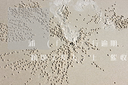 浦發(fā)銀行逾期：會(huì)否派戶籍地工作人員上門催收？