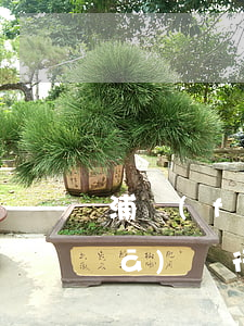 浦發(fā)銀行逾期會起訴嗎-浦發(fā)銀行逾期20萬,會不會直接起訴