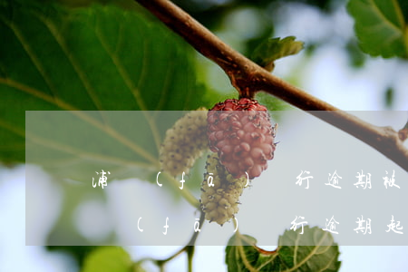 浦發(fā)銀行逾期被法院起訴怎么辦(浦發(fā)銀行逾期起訴一般在哪個(gè)城市開(kāi)庭)