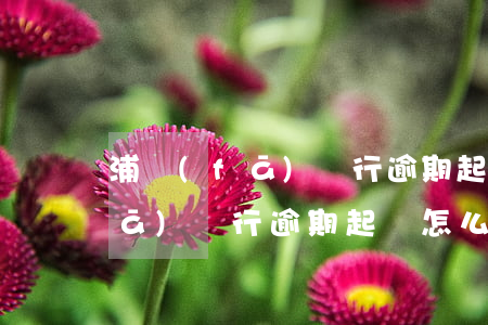 浦發(fā)銀行逾期起訴怎么辦（浦發(fā)銀行逾期起訴怎么辦）