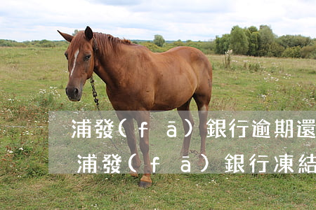 浦發(fā)銀行逾期還款凍結(jié)(浦發(fā)銀行凍結(jié)幾天)
