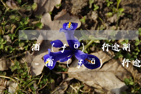 浦發(fā)銀行逾期還進去刷不了信用卡-浦發(fā)銀行逾期還進去刷不了信用卡怎么辦