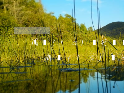 浦發(fā)銀行違約金和利息可以減免嗎-浦發(fā)銀行違約金和利息可以減免嗎