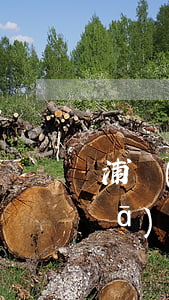 浦發(fā)銀行還款逾期三天-浦發(fā)延期三天還款