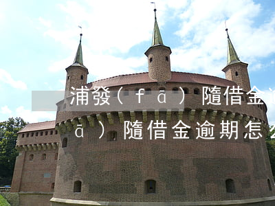 浦發(fā)隨借金逾期怎么還-浦發(fā)隨借金逾期怎么還