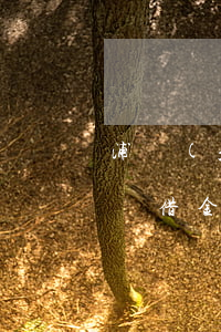 浦發(fā)隨借金還款逾期(浦發(fā)隨借金我按了提前還款)