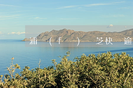 浦發(fā)靈芝快貸逾期怎么辦