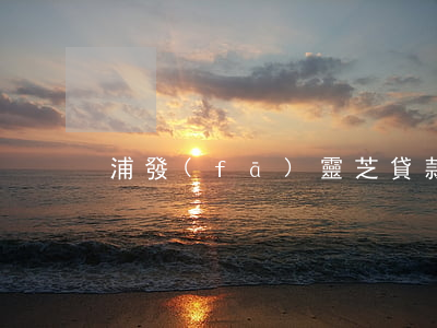 浦發(fā)靈芝貸款逾期呆滯