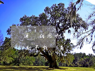 浦發信用卡逾期協商還款案(浦發逾期三個月就不能協商還款了嗎?)
