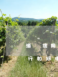 浦發信用卡逾期怎么停息掛賬上海-浦發銀行如何申請停息還款