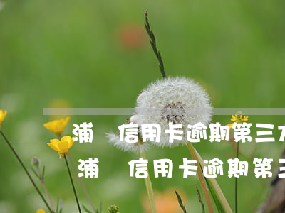 浦發信用卡逾期第三方催收怎么協商還款-浦發信用卡逾期第三方催收怎么協商還款的