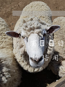浦發銀行信用卡停息掛賬申請辦法-浦發銀行信用卡停息掛賬申請辦法最新