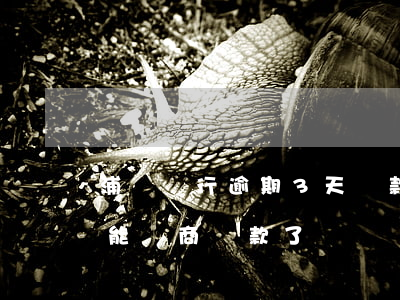 浦發銀行逾期3天還款(浦發逾期三個月就不能協商還款了嗎?)