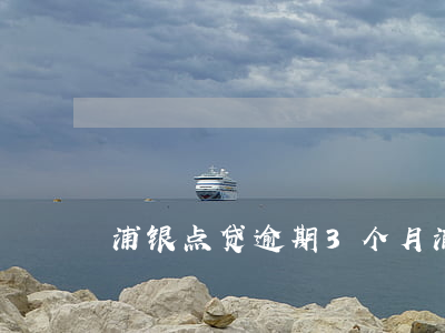 浦银点贷逾期3个月(浦银点贷利率3.85)