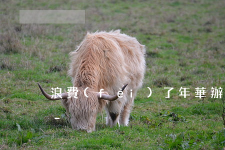 浪費(fèi)了年華辦上信用卡還不上了-