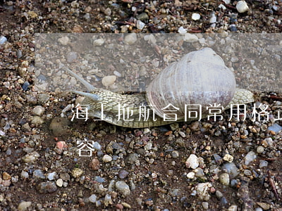 海上拖航合同常用格式及主要內(nèi)容