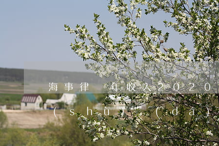 海事律師年收入2020(2020律師人數(shù)達(dá)到)