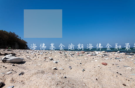 海佛基金逾期 海佛金融最新消息