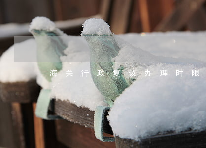 海关行政复议办理时限和程序是怎样的