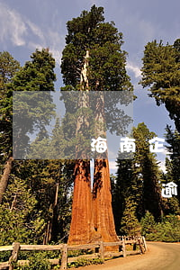 海南企業(yè)債務逾期方式有哪些(公司債務逾期)