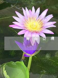 海南公積金助學(xué)貸款逾期