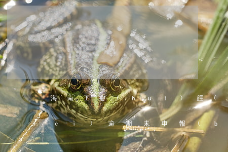 海南工會(huì)經(jīng)費(fèi)逾期未申報(bào) 海南基層工會(huì)經(jīng)費(fèi)收支管理辦法