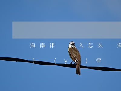 海南律師收入怎么樣(海南有多少執(zhí)業(yè)律師)