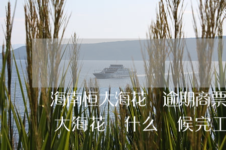海南恒大海花島逾期商票兌付情況-海南恒大海花島什么時候完工