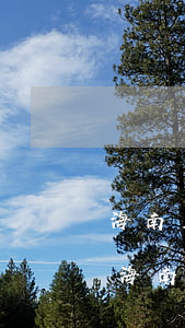 海南房貸逾期被法院凍結(jié)銀行卡(海南房貸逾期被法院凍結(jié)銀行卡)
