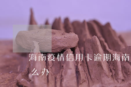 海南疫情信用卡逾期(海南疫情信用卡逾期怎么办)