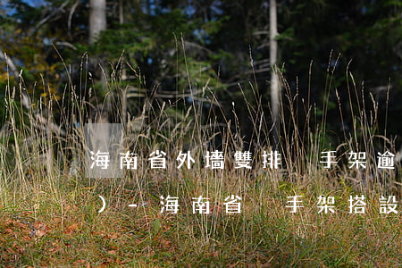 海南省外墻雙排腳手架逾期市場價(jià)-海南省腳手架搭設(shè)規(guī)范