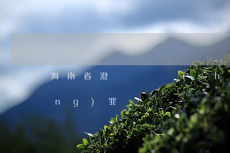海南省澄邁縣開設(shè)賭場(chǎng)罪