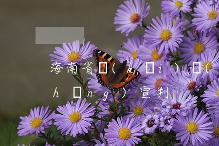 海南省開(kāi)設(shè)賭場(chǎng)宣判