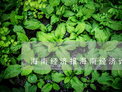 海南经济报(海南经济论坛)